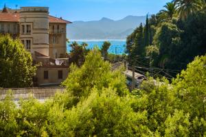 Příroda nedaleko apartmánu