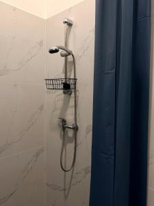 a shower with a shower head in a bathroom at Dolce Vita House in Budapest +27 photos