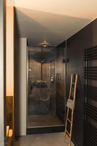 ducha con puerta de cristal y escalera en Le Clos du Rempart Suite & Jacuzzi, en Ciney