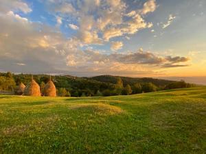 Příroda nedaleko venkovského domu + 20 fotografií