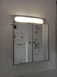 a mirror in a bathroom with a shower in it at Heronsgate GH015 in Gravesend