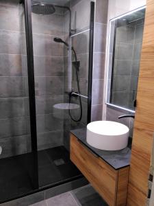 a bathroom with a sink and a glass shower at Appartement Balcon Villard-de-lans in Villard-de-Lans