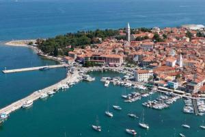 an aerial view of a harbor with boats in the water at Room 400 m from the beach in Izola