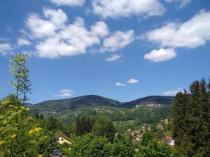 uma vista para um vale com árvores e montanhas em Les Sapins em Bussang