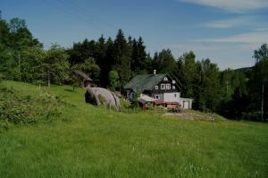 a farm with a house and a sheep in a field at Na Sluneční pohádková chaloupka ve Sladké díře in Příchovice