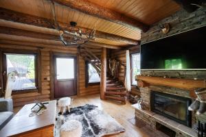 a living room with a fireplace in a log cabin at Cabana din Revier in Vişeu de Jos