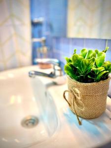 羅塔的住宿－MyChoice Dos Mares by Bossh! Apartments，盆栽植物,坐在浴室水槽顶部