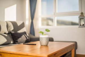 una pianta in vaso seduta su un tavolino in soggiorno di The Apartment Luminoso duplex en sierra nevada a Sierra Nevada