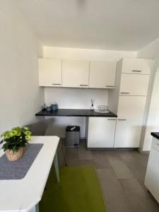 Kuchyň nebo kuchyňský kout v ubytování Appartement Seehof