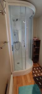 a shower with a glass door in a bathroom at coin de paradis bord de Saone (avec jacuzzi) in Massieux