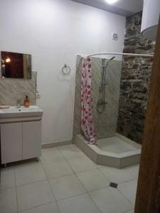 y baño con ducha y lavamanos. en Rusikos guest house, en Oni