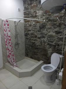 a bathroom with a shower with a toilet and a stone wall at Rusikos guest house in Oni