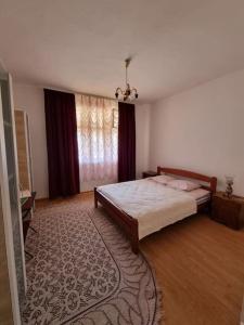 1 dormitorio con cama y alfombra grande en Apartman Terasa en Bijelo Polje
