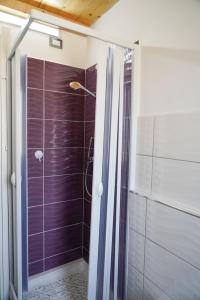 uma casa de banho com um chuveiro com uma parede roxa em Villetta San Martino em Torraca
