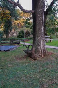 un'altalena appesa ad un albero in un parco di e11even Boutique Bed & Breakfast a Newcastle