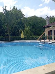 The swimming pool at or close to Optasia