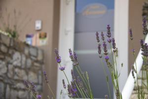 Fotografie z fotogalerie ubytování Hotel Arianna v destinaci Iseo
