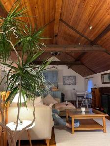 a living room with a person laying on a couch at Converted Victorian Coach House on the North Coast in Coleraine