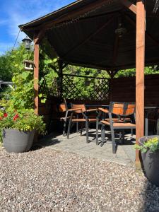 Zahrada ubytování Motel Orzeł