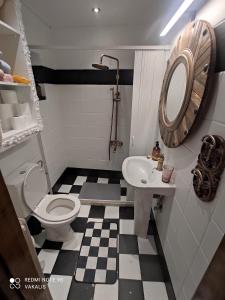 a bathroom with a toilet and a sink and a mirror at Villa Vakalis in Ioannina