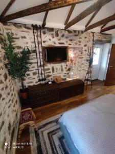 a bedroom with a tv on a stone wall at Villa Vakalis in Ioannina