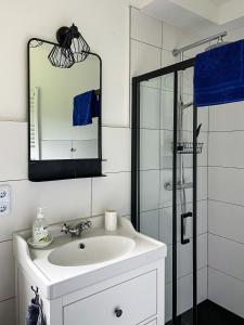 a bathroom with a white sink and a mirror at Ferienwohnung Hitzacker/Elbe in Hitzacker