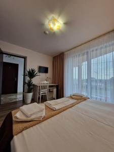 Dumbrava RoşieにあるCandy Pensiune&Restaurantの大きなベッドと大きな窓のある寝室