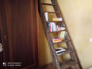 a wooden ladder leaning against a wall with books at Casa di Campagna in Colle Val D'Elsa