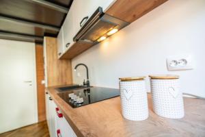 Kuchyňa alebo kuchynka v ubytovaní Studio Loft Brasov