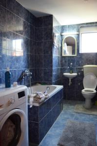 y baño con lavadora y aseo. en House of peace, en Podgorica