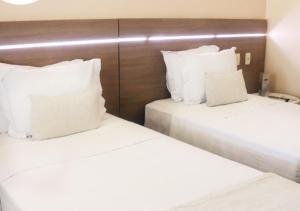 Postel nebo postele na pokoji v ubytování Hotel Adrianópolis All Suites