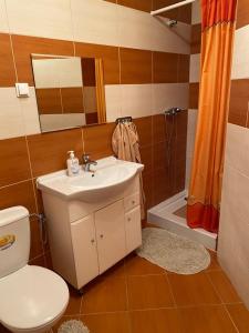 ロビにあるBarwy Lataのバスルーム(洗面台、トイレ、シャワー付)