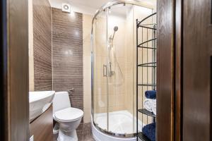 a bathroom with a toilet and a glass shower at Apartamenty 33 in Zakopane +87 photos