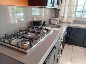 Kuchyň nebo kuchyňský kout v ubytování Sun Havens Apartments & Suites