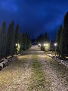 a row of trees with lights at night at Tenuta Vittoria in Caposele