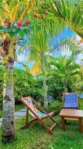 a chair and a table next to a palm tree at BEL HORIZON Nosy Be in Nosy Be