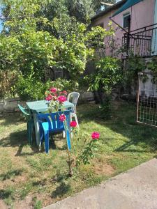 un tavolo blu e sedie con fiori di Private village home a Përmet