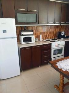 a kitchen with a white refrigerator and a microwave at Private village home in Përmet