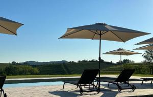 un gruppo di sedie e ombrelloni accanto alla piscina di Bosco Romagno a Cividale del Friuli