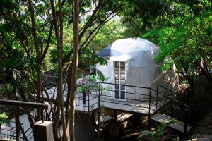 Vườn quanh Glamping romantico en Vista Hermosa disfruta de la naturaleza en un ambiente privado y acogedor
