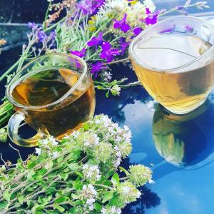 Fotografie z fotogalerie ubytování Armine B&B v destinaci Tatev + 32 fotografií