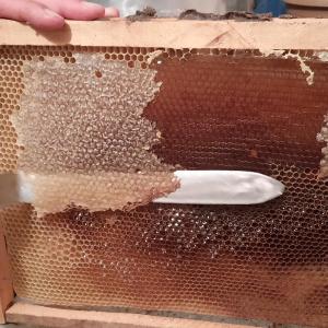 Fotografie z fotogalerie ubytování Armine B&B v destinaci Tatev