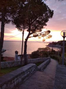 a tree sitting next to a stone wall next to the ocean at CASA VACANZE CERNIZZA in Duino