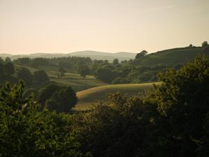 uma vista para um campo com árvores e colinas em Upper Gelli Luxury Holiday Lodge, Converted Dairy & Cosy Shepherds Huts em Welshpool