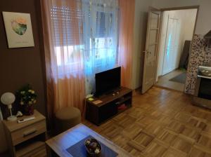 a living room with a television and a wooden floor at Studio apartman Vuković 4 zvjezdice in Bizovac