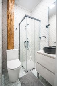 W łazience znajduje się toaleta i przeszklony prysznic. w obiekcie Gran Apartamento 6 SUITES Bilbao Center w mieście Bilbao