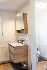 Il comprend une petite cuisine avec un lavabo et des toilettes. dans l'établissement Haus Theresia Rüf, à Au im Bregenzerwald