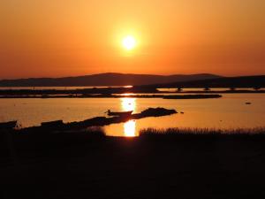 Gallery image of Apartments Beba in Privlaka