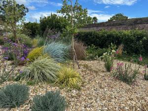 un jardin avec de nombreuses plantes et fleurs différentes dans l'établissement The Priory, 