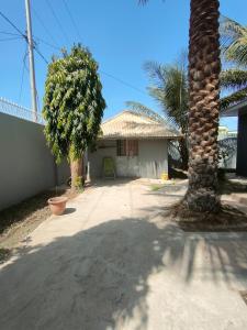 a palm tree and a house with a palm tree at Eli Ndatis Self Catering Apartments in Kololi